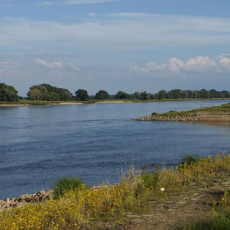 "Ferienwohnung Am Schloss" - Ferienwohnung Mit Blick Auf Das Barbyer Schloss, 5 Gehminuten Bis Zur Elbe المظهر الخارجي الصورة