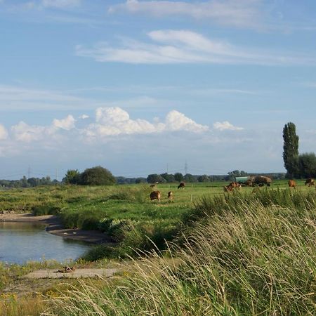 "Ferienwohnung Am Schloss" - Ferienwohnung Mit Blick Auf Das Barbyer Schloss, 5 Gehminuten Bis Zur Elbe المظهر الخارجي الصورة